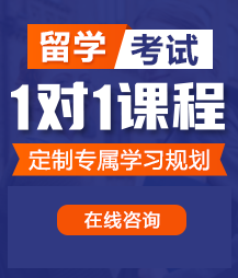 网红被c到爽的视频留学考试一对一精品课